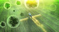 Agroterrorism Fungus Smuggling Threatens Food Security