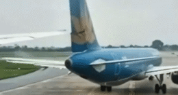 All four pilots suspended after runway collision which saw Boeing slice through tail fin of parked Airbus