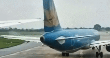 All four pilots suspended after runway collision which saw Boeing slice through tail fin of parked Airbus