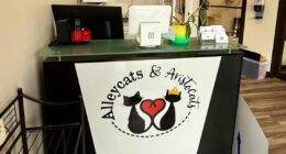 Alleycats & Aristocats in Medina County to hold grand reopening celebration on Sunday