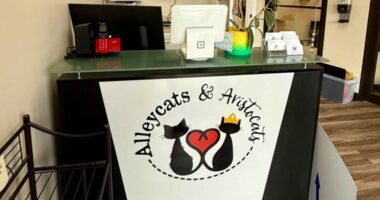 Alleycats & Aristocats in Medina County to hold grand reopening celebration on Sunday