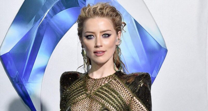 Amber Heard's Ex-Girlfriend Claims Her Behavior While They Dated Made Her 'Believe All Of' The Johnny Depp Abuse Allegations
