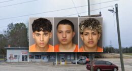 Americans at risk 'anywhere' after 6 illegal immigrants are charged in mother's murder: congressman