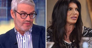 Andy Cohen Finally Gives Update On ‘RHONJ,’ Says Bravo Is “Actively” Casting Next Season