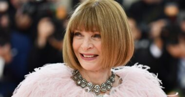 Anna Wintour shocks the fashion world with announcement to step down