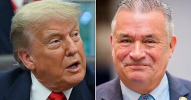 Anti-Trump Republican Don Bacon won't run for reelection amid GOP civil war