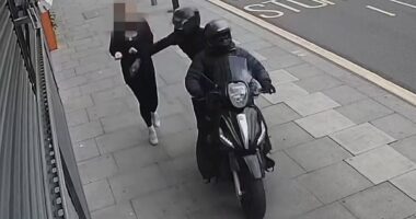Apple and Google are 'dragging their feet' over one simple change that would hit mobile phone thieves - and MPs say it is because they are more interested in making money
