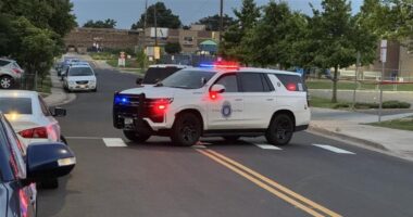 Armed man dies in shooting involving Denver police and DPS officers Monday night