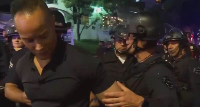 Astonishing moment CNN host realizes reporter is being detained by cops during live segment from LA riots