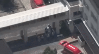 At least 17 pupils & one teacher hospitalised after student ‘sprays insecticide’ in corridor at high school in Japan