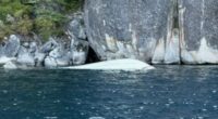 At least six dead & two missing after boat capsizes on Lake Tahoe during terrifying storm that caused 8-foot waves