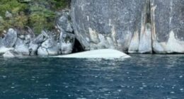 At least six dead & two missing after boat capsizes on Lake Tahoe during terrifying storm that caused 8-foot waves