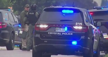 At least three people have been shot at the homes of Minnesota Democrats in overnight attacks by a gunman posing as cop