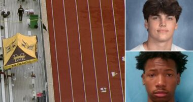 Austin Metcalf's accused killer needs support fighting 'white supremacy' after murder indictment: spox