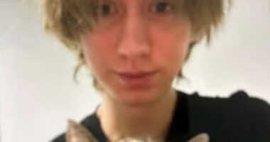 Austrian school shooter murdered his neighbour's daughter during mass killing and left note asking his mother to look after his beloved cat