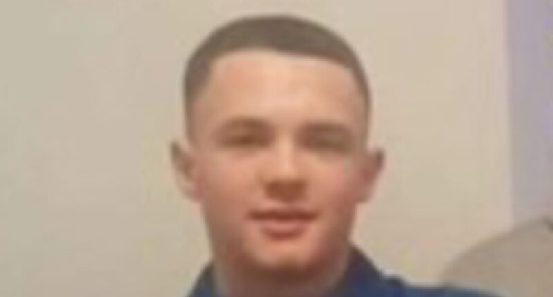 Ava White's schoolboy killer unmasked: Murderer's identity is revealed on his 18th birthday after he stabbed 12-year-old to death outside Primark in petty row over Snapchat video