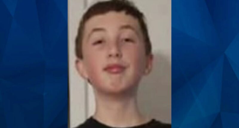 BOLO: Police Seek Tips on Missing Texas Boy with Medical Condition