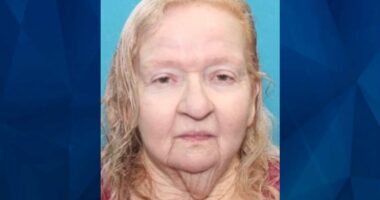BOLO: Silver Alert Issued for Missing Texas Woman