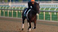 Belmont at Saratoga is a draw, but keeping the Triple Crown relevant remains a concern