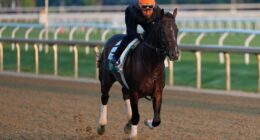 Belmont at Saratoga is a draw, but keeping the Triple Crown relevant remains a concern