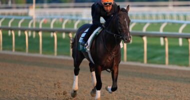 Belmont at Saratoga is a draw, but keeping the Triple Crown relevant remains a concern