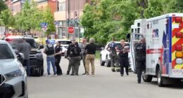 Boulder attack updates: Suspect Mohamed Sabry Soliman booked on charges after 'act of terror' with 'makeshift flamethrower'