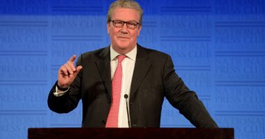 Bring back Rwanda scheme to end small boats crisis, says architect of Australia's successful migrant crackdown