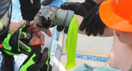 Brit boy, 4, sucked into pool filter at Majorca hotel sparking desperate rescue mission