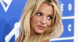 Britney Spears Releases Tirade On 'Cruel Humans': 'I Loved Their Dogs More Than Them'