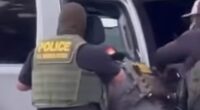 Brutal arrest of illegal migrant in California is caught on camera as his three Marine sons beg ICE for mercy