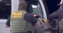 Brutal arrest of illegal migrant in California is caught on camera as his three Marine sons beg ICE for mercy