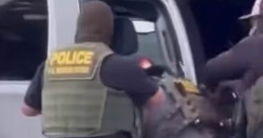 Brutal arrest of illegal migrant in California is caught on camera as his three Marine sons beg ICE for mercy
