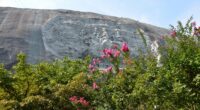 Burned Body Found Atop Popular Georgia Attraction, Stone Mountain