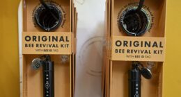 Business is buzzing for couple behind revival kits that rescue bees in need... while Wimbledon serves up an ace rival to strawberries with its very own honey