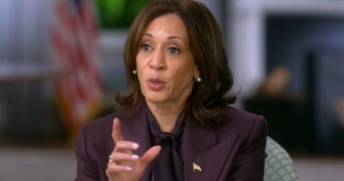 CBS stalwart reveals 'the truth' about edited Kamala Harris interview that Trump is suing the network over