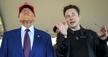 CNN Is Having a Normal One – Panelist Suggests Trump Might Have Musk Killed or Imprisoned After Spat