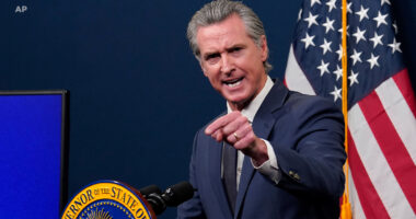 California Gov. Gavin Newsom sues Fox News for $787M in defamation case, claiming host Jesse Watters lied about Trump call