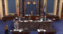 Capitol Police arrest man who disrupted Senate debate on Trump's 'big, beautiful bill': 'You people are awful'