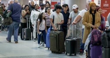 Chaos as American Airlines is hit by outage leaving thousands stranded on runways