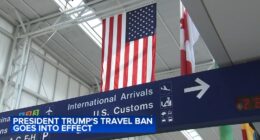 Chicago O'Hare airport travelers criticize President Donald Trump's US 12-country travel ban