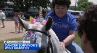 Chicago Proud: 12-year-old Elgin cancer survivor Valentina Robles granted wish to meet unicorn by Make-A-Wish Illinois
