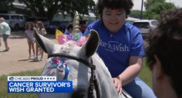 Chicago Proud: 12-year-old Elgin cancer survivor Valentina Robles granted wish to meet unicorn by Make-A-Wish Illinois
