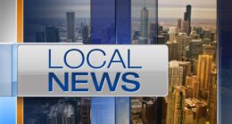 Chicago Urban League hosting 12th Annual Citywide Job Fair at UIC Forum