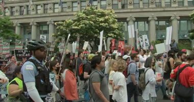 Chicago protest Saturday: 'No Kings' protest against ICE raids, Donald Trump administration could draw thousands to Daley Plaza