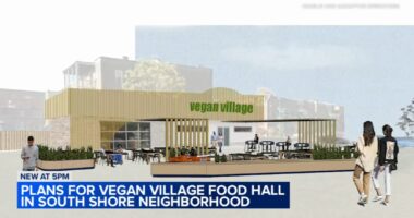 Chicago restaurants: Vegan village food hall in the works for 79th Street in South Shore neighborhood