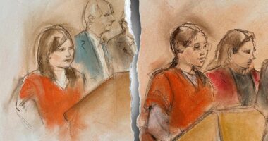 Chinese bio-smuggling suspect cries in court over federal detention