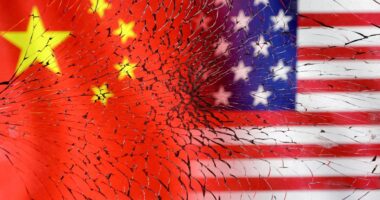 Chinese bioterror suspects' arrests signal communist country plotting 'something worse' than COVID: expert