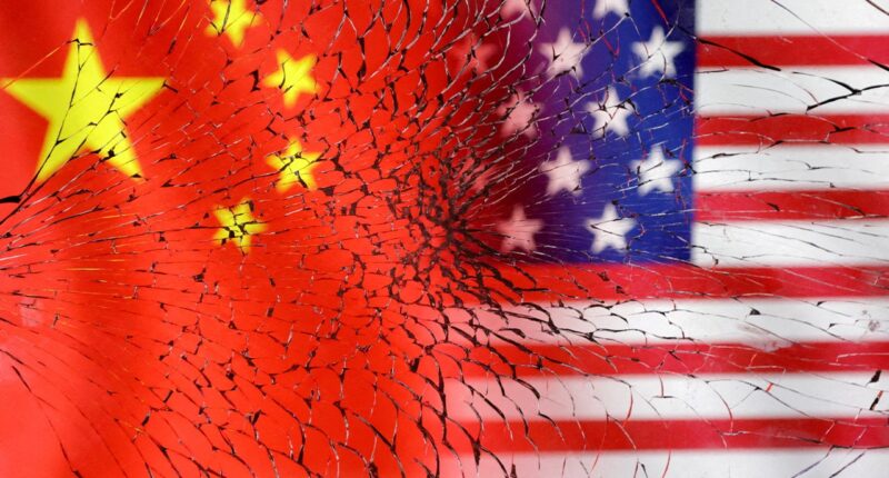 Chinese bioterror suspects' arrests signal communist country plotting 'something worse' than COVID: expert