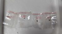 Chinese pair accused of smuggling 'dangerous biological pathogen' into US
