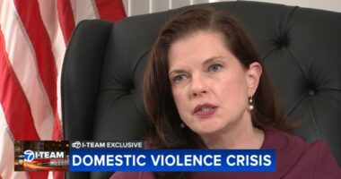 Cook County State's Attorney Eileen O'Neill Burke, Chicago's top prosecutor, lays out plan to address domestic violence crisis
